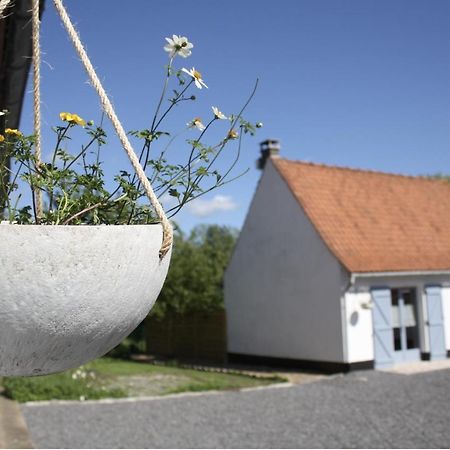 A L'Ombre Du Prunier Bed & Breakfast Licques Exterior photo