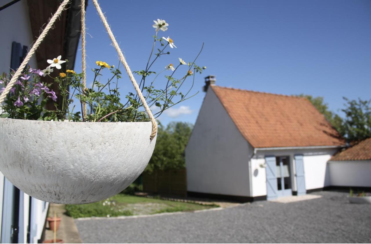 A L'Ombre Du Prunier Bed & Breakfast Licques Exterior photo